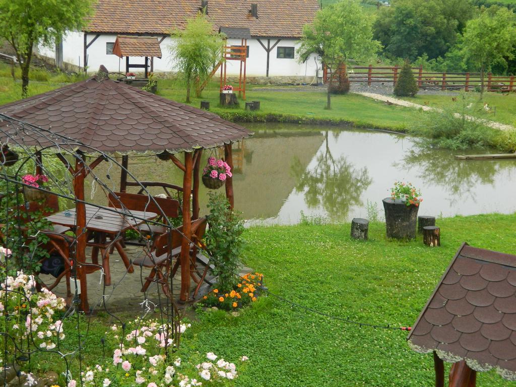 Pensiunea Violeta Saschiz Zewnętrze zdjęcie