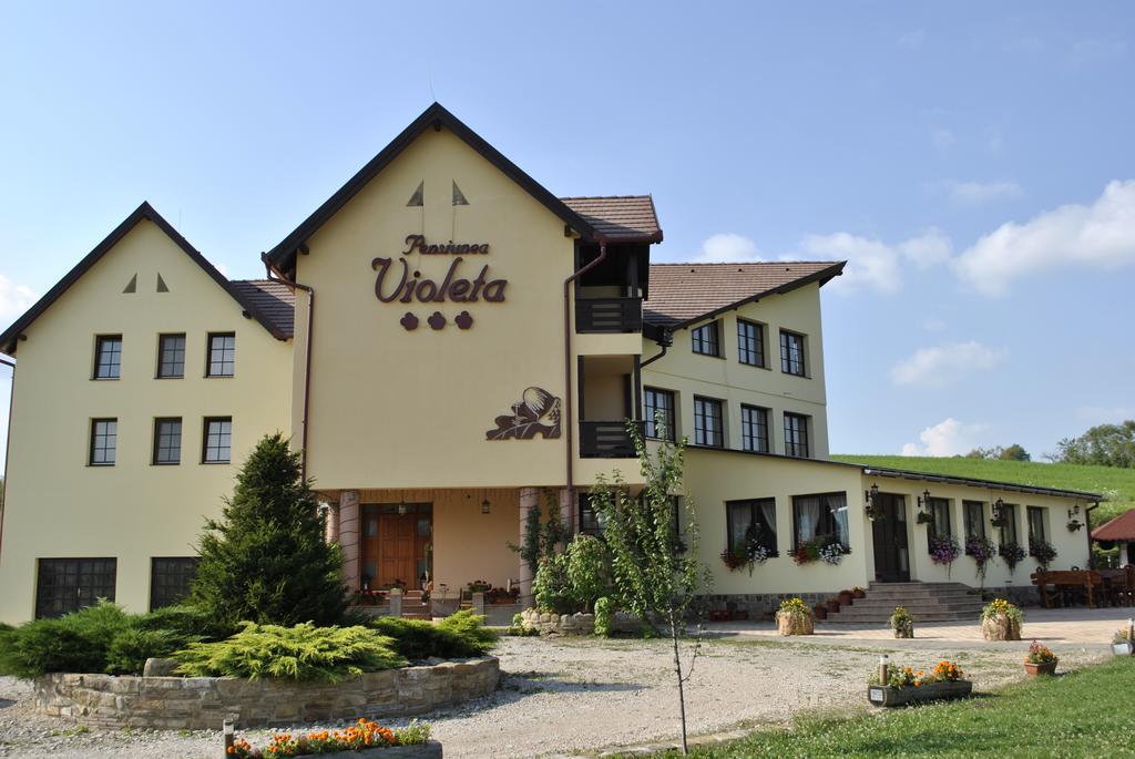 Pensiunea Violeta Saschiz Zewnętrze zdjęcie